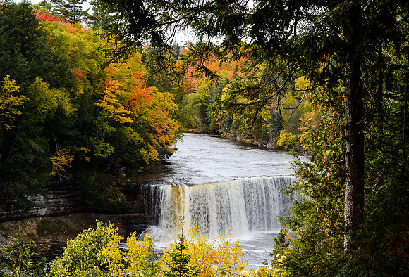 © Suzonne Evans ~ Autumn Splendor