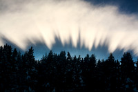 © Suzonne Evans ~ Light Rays Brillance