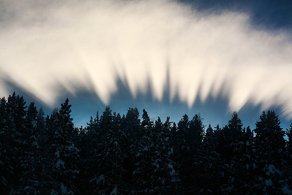 © Suzonne Evans ~ Light Rays Brillance