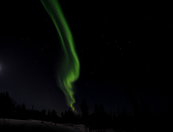 2nd Place:  Into the Night:   Light Dancing
